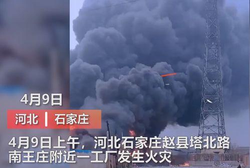 吉林木材厂爆料事件视频,揭露惊人内幕  第2张