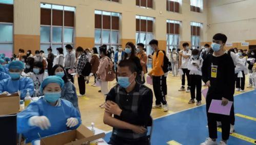 陨星爆料最新消息视频,揭秘最新神秘视频背后的惊人真相  第2张