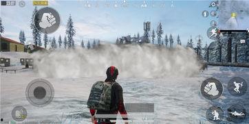 和平精英烟雾弹最新爆料,神秘特性引玩家热议  第1张